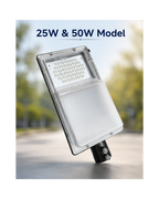 AC Street Light – Battery Backup (LiFePO4) with Auto Dusk-to-Dawn (25W / 50W)